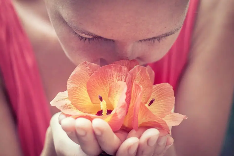 interior design blog, power of scent